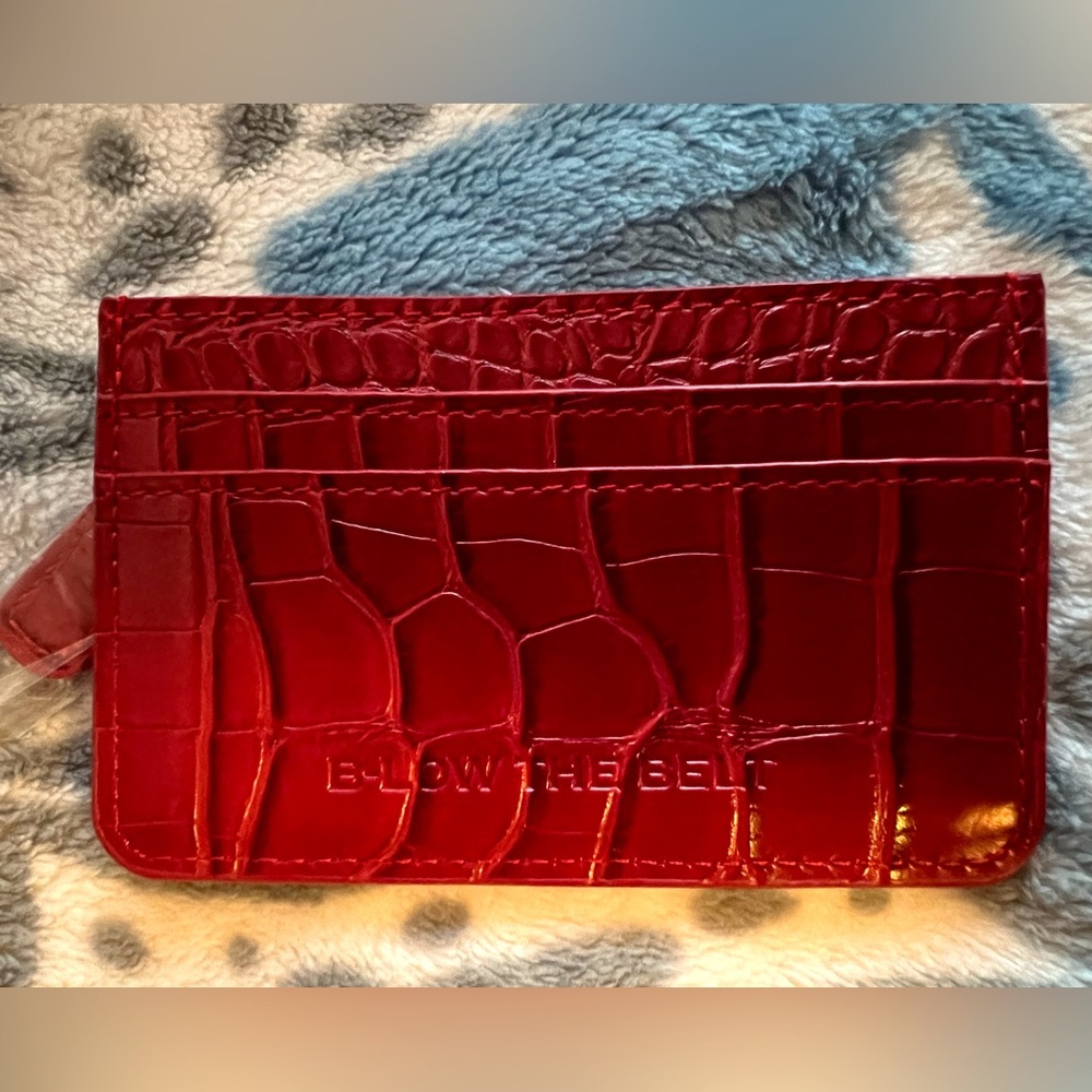 B-low the belt Credit Card holder with change pocket